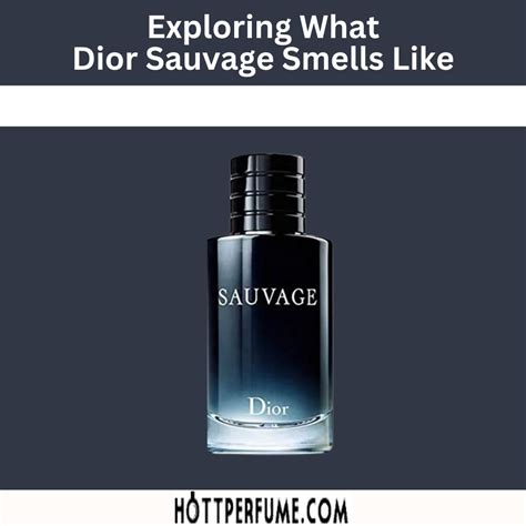 dior sauvage 2015 probe|Dior Sauvage smells like.